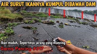 SIAPA SANGKA IKANNYA CUMA DI BAWAH PINTU AIR ITU || CASTING HAMPALA DAN GABUS SAAT AIR SURUT