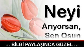 Neyi Arıyorsan, Sen Osun