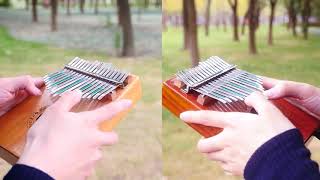 Kalimba cover「天空の城ラピュタ」 君をのせて 天空之城 久石讓