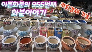 1월 2일 #이쁜화분 955번째 화분이야기