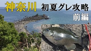 真鶴半島地磯 初夏のメジナ釣り 前編 MANCING MANIA JAPAN