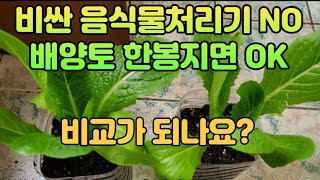 비교가 되나요?(4)  #음식물쓰레기 #음식물처리기 #흙퇴비화#compost