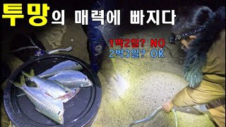 투망의 매력에 빠지다. 강릉에 2박 3일 투망 여행을 다녀왔습니다 #강릉염전해변 #투망 #바다투망