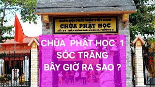 Chùa Phật Học 1 Sóc Trăng, Điểm Tham Quan Du Lịch Tâm Linh