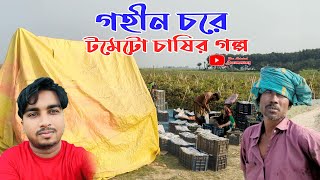 গহীন চরে টমেটো নিয়ে।  বুক ভরা আসা বাধে কৃষক village life and city life paragraph#TND_documentary