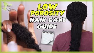 The BEST HAIR CARE TIPS for LOW POROSITY hair