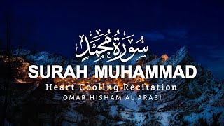 Surah Muhammad [سورة محمد] by Omar Hisham Al Arabi |Quran For Sleep | Relaxing Quran Recitation