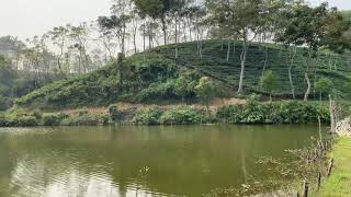 বিলাস ছড়া (Bilash Chora Lake, Sreemangal)