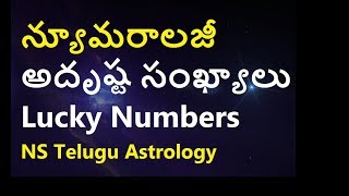 Learn Numerology in Telugu | By Date of Birth Know your Lucky Numbers