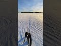 backcountry skiing on lake Öjaren untracked is what we like