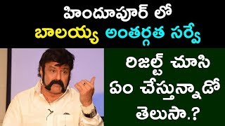 హిందూపూర్ లో బాలయ్య అంతర్గత సర్వే || రిజల్ట్ చూసి షాకింగ్ నిర్ణయం । Balakrishna Survey in Hindupur