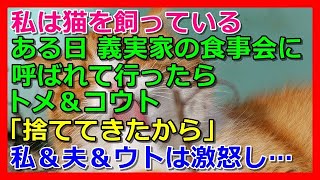 【その神経が分からん】私は猫を飼っている。ある日、義実家の食事会に呼ばれて行ったら、トメ＆コウト「捨ててきたから」と言った→私＆夫＆ウトは激怒し…【スカッと 修羅場 朗読 まとめ】