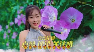 一首民谣情歌《杏花落》女歌手人美歌甜，听得心里暖暖的,音乐,民谣