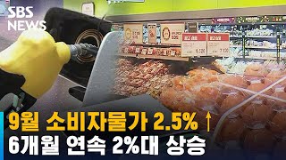 9월 소비자물가 2.5%↑…6개월 연속 2%대 상승 / SBS