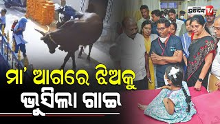 ମା’ ଆଗରେ ଝିଅକୁ, ଭୁସିଲା ଗାଇ II PratidinTv