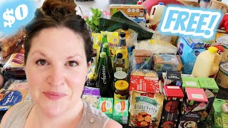 Christmas Grocery Haul - Over $500 Worth of Food for Free! Family of 12