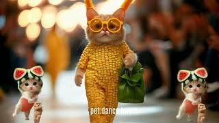 😸CATS ON THE RUNWAY: BEST SHOW OF 2024!