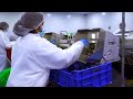 CANNPRISMA EU-GMP Medical Cannabis Factory