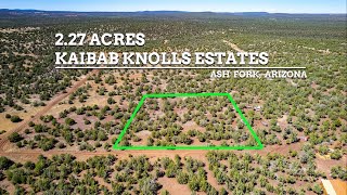 Property Video APN 206-03-006 (2.27 Acres)