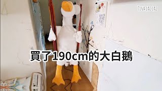 【 只是開箱 】190cm大白鵝娃娃