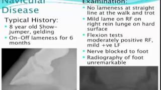 Diagnosing Horse Lameness - Part 3