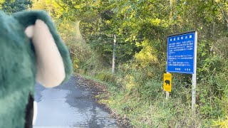 【デリカミニで行く】山梨県 林道 花咲山線（通行止め）