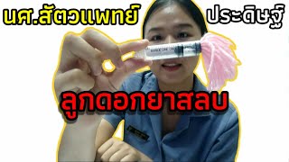 หมอทำลูกดอกยาสลบไปยิงหมี หมีกลัวหมอหมอกลัวหมี หมีหนีหมอหมอหนีหมี | VIOLUV