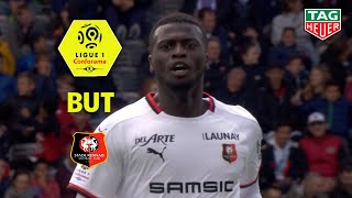 But Mbaye NIANG (35') / Toulouse FC - Stade Rennais FC (2-2)  (TFC-SRFC)/ 2018-19