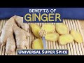 Benefits of Ginger Root, The Universal Super Spice