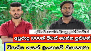 අවුරුදු 1000ක් ජීවත් වෙන්න පුළුවන් ගස....!