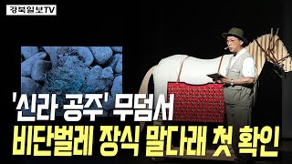 [영상] '신라 공주' 무덤서 비단벌레 장식 말다래 첫 확인