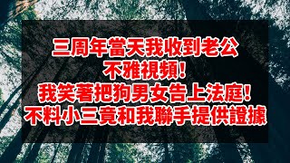 情感故事 李子柒  - 三周年當天我收到老公不雅視頻！我笑著把狗男女告上法庭！不料小三竟和我聯手提供證據！下一秒眾人當場傻眼