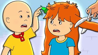 Rosie'nin ilk saç kesimi | Caillou Türkçe - WildBrain