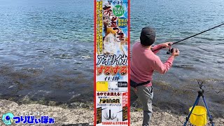 アオリイカウキ釣りで狙ってキロアップを釣る。果たして‥