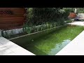 aqua system small natural swimming pool 2021