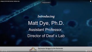 Bridges to PhD WoW Seminar: Matthew Dye