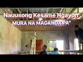 Murang Kesame’Nauuso Ngayon’Kumpara sa Hardiflex”Mura na Maganda Pa”