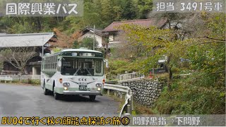 国際興業バス BU04で行く 秋の飯能終点探訪の旅参加記⑮（間野黒指⇒下間野編）