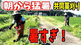 2024-07-07【共同草刈り】なんて暑さ！チップソーで参加するもダウンしそう、、、