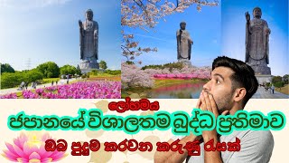 ජපානයේ විශාලතම බුද්ධ ප්‍රතිමාව | The world's largest ushiku buddha