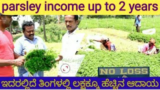 parsley farming excellent earnings up 2 years . ತಿಂಗಳಿಗೆ ಒಮ್ಮೆ 1 ಲಕ್ಷ ರೂ ವರೆಗೆ ಆದಾಯ ಪಡೆಯಬಹುದು.