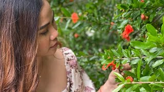 cooking luffa gourds with eggs for breakfast ឆាននោងជ្រុងជាមួយពងទា