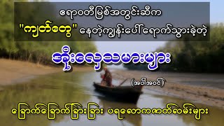 ဧရာဝတီမြစ်အတွင်းဆီက ကျတ်တွေနေတဲ့ကျွန်းပေါ်ရောက်သွားခဲ့သူများ