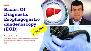 In English; Basics Of Diagnostic Esophagogastroduodenoscopy EGD