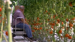 Vault Story - Meadowlark Gardens