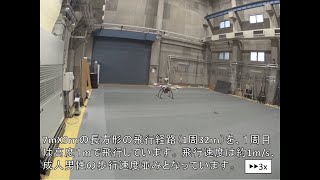 GeoPackによる自動飛行デモ動画