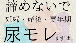 【チョビモレに安心】竹布 かぐやのお守り！