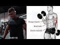 10 اقوى تمارين استهداف زوايا البايسبس biceps de routine 10 exercises ejercicios biceps