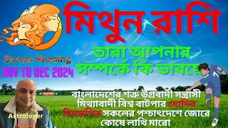 মিথুন রাশিফল নভেম্বর থেকে ডিসেম্বর ২০২৪, তারা আপনার সম্পর্কে কি ভাবছে, বোনাস রিডিং❤️