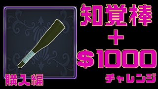 【元素騎士】知覚棒＋＄１０００チャレンジ　購入編